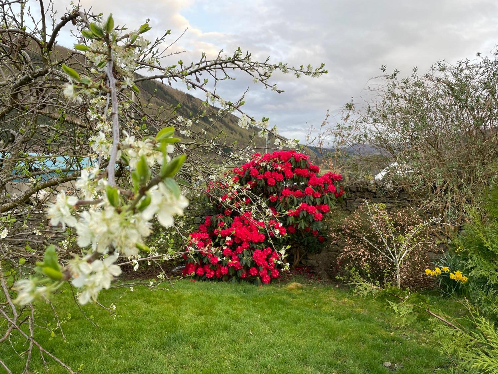 Clachan Garden B&B 가르베 외부 사진